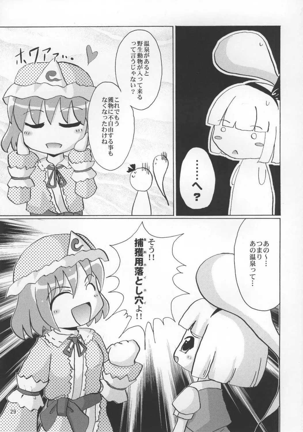 Page 29