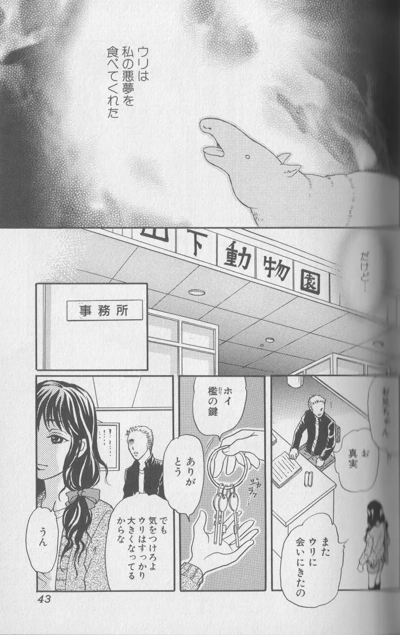 Page 42