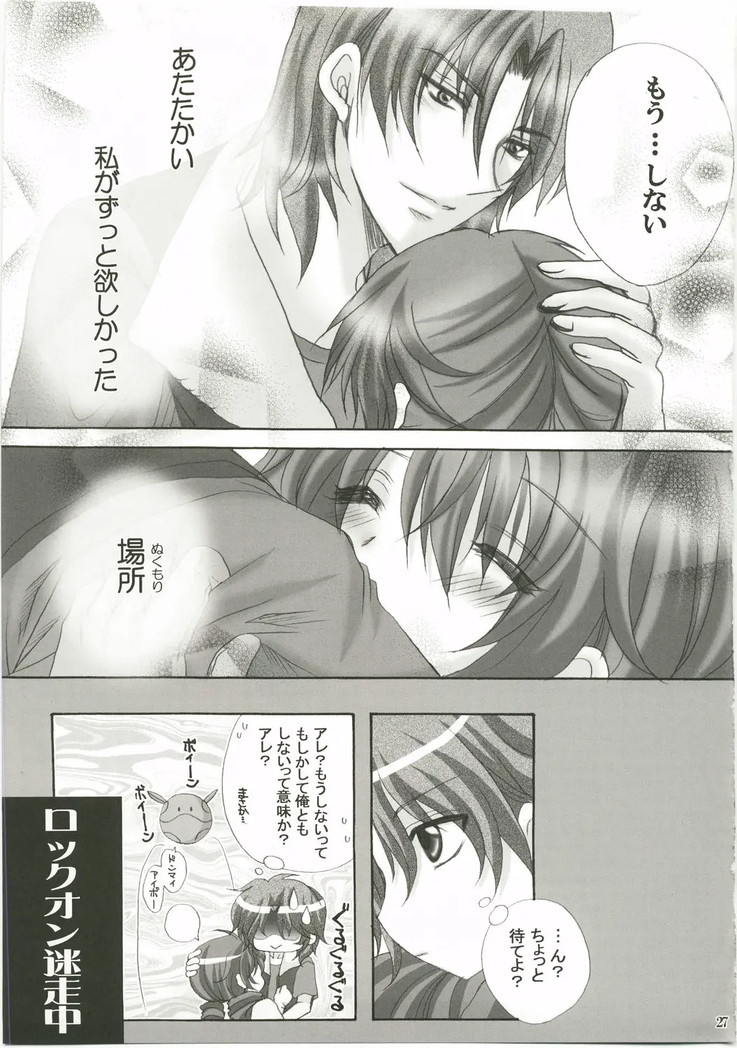 Page 27