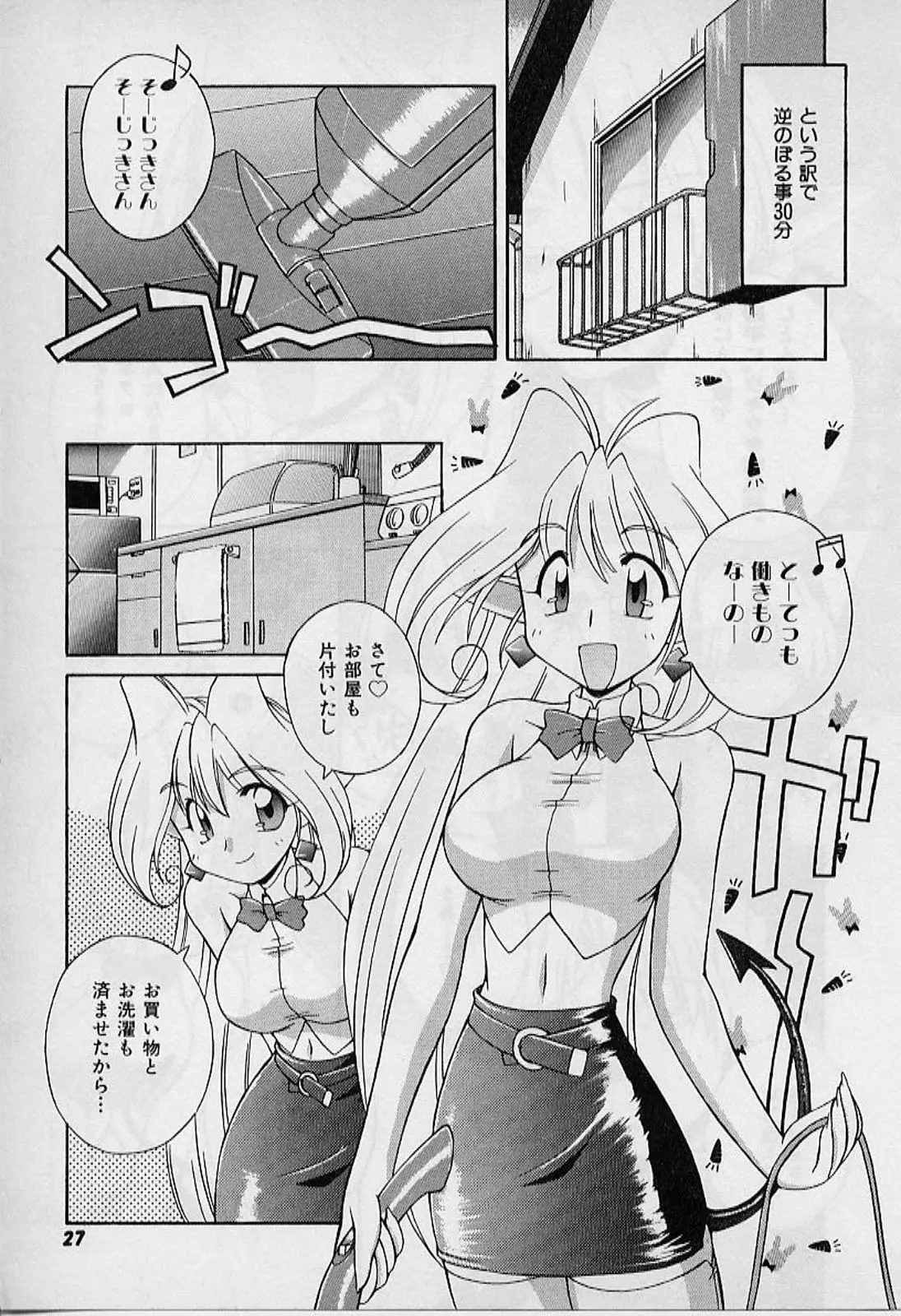 Page 27
