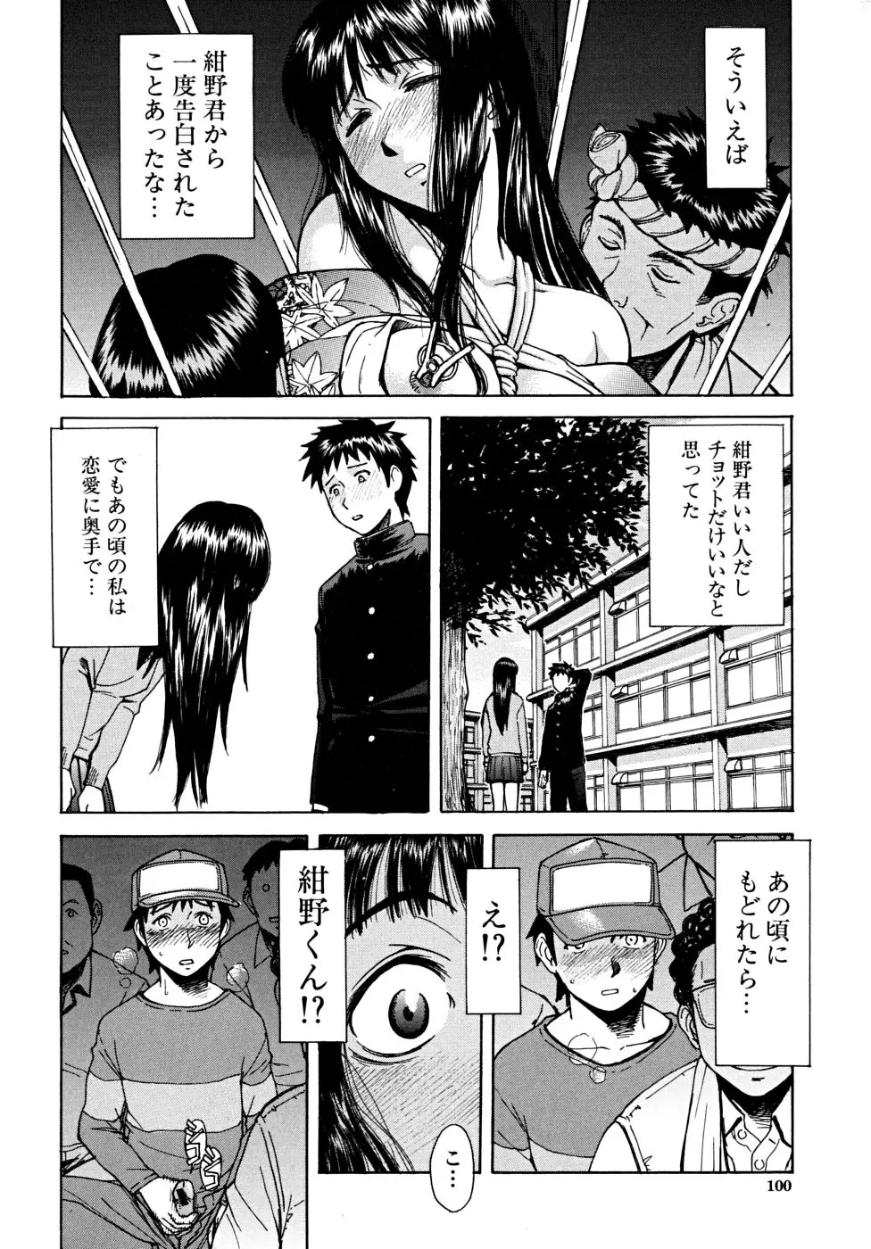 Page 101