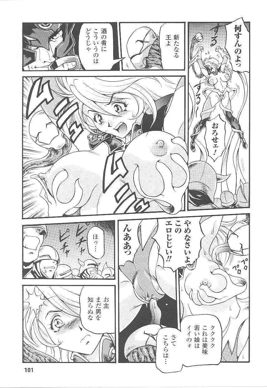 Page 101