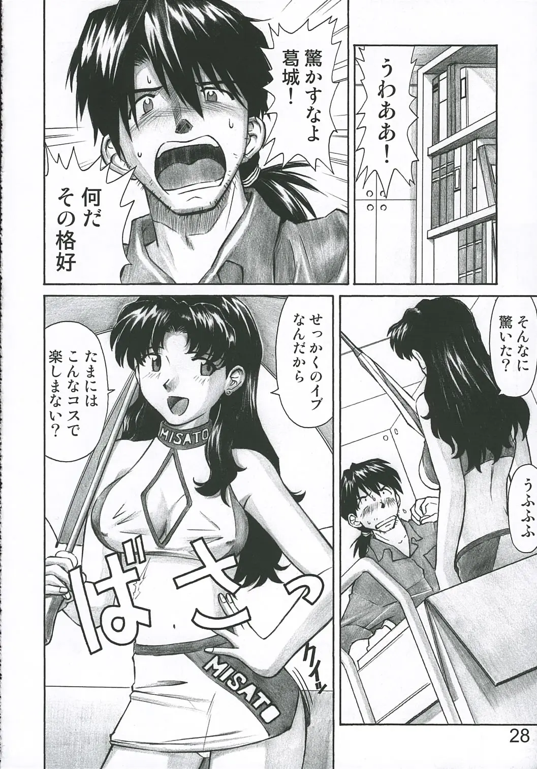 Page 27
