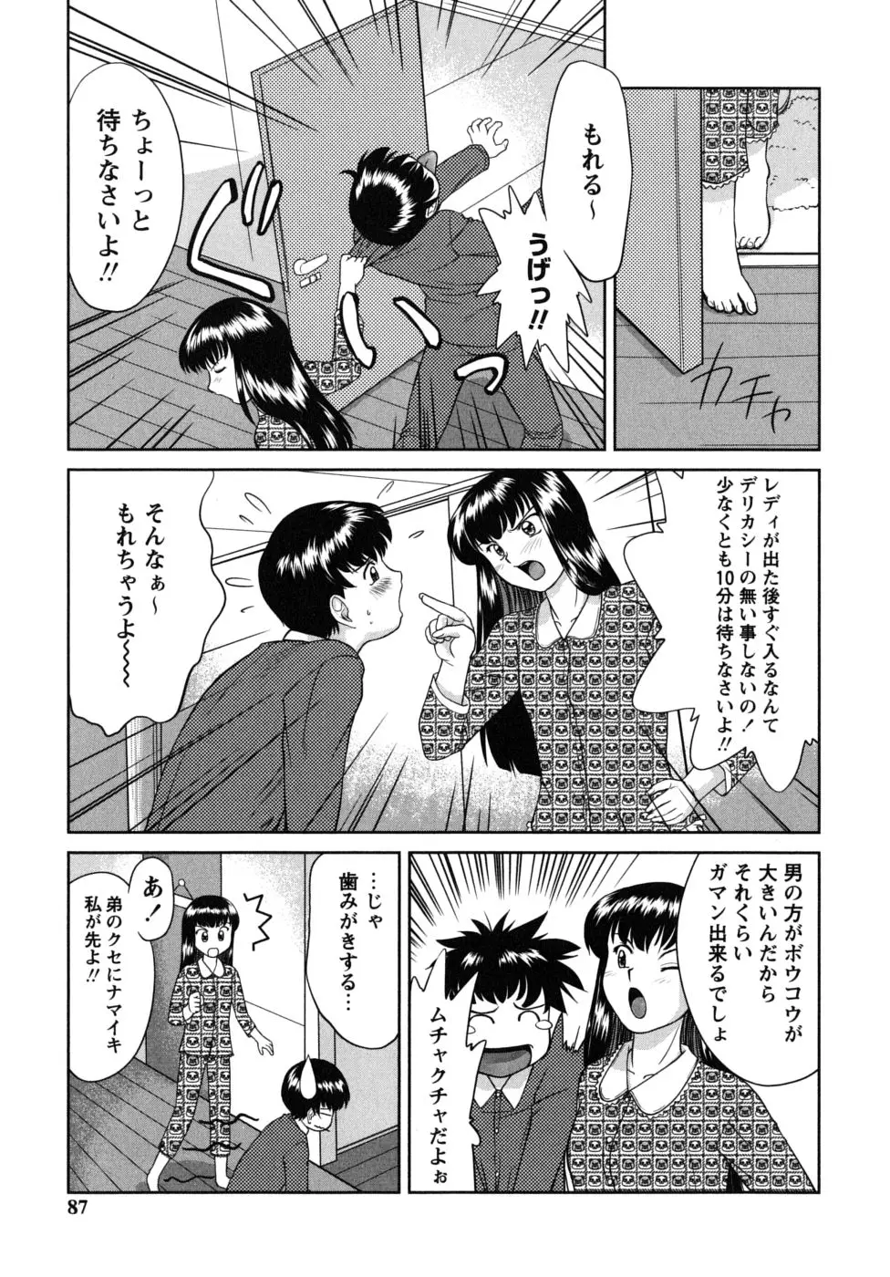 Page 87