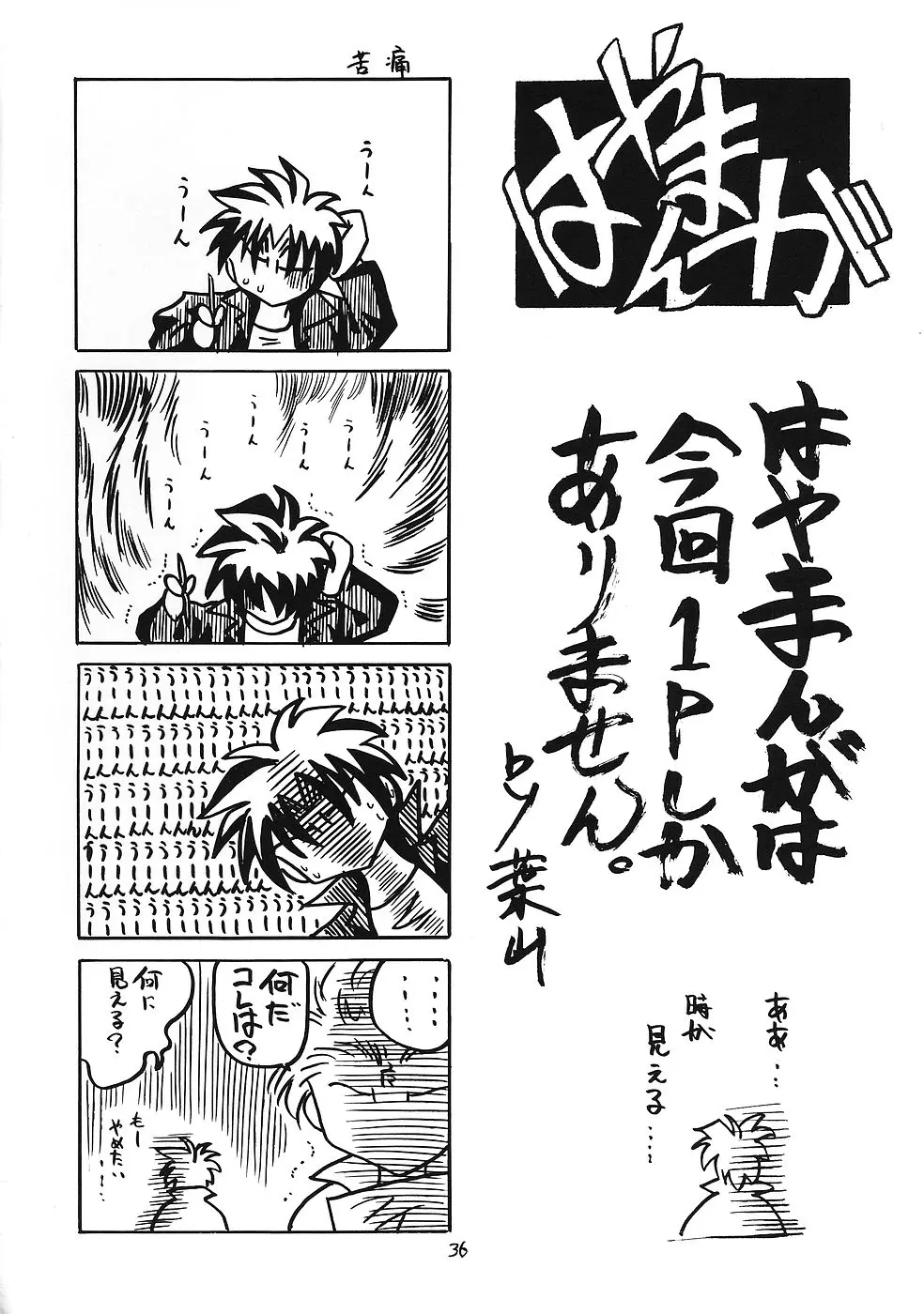 Page 35