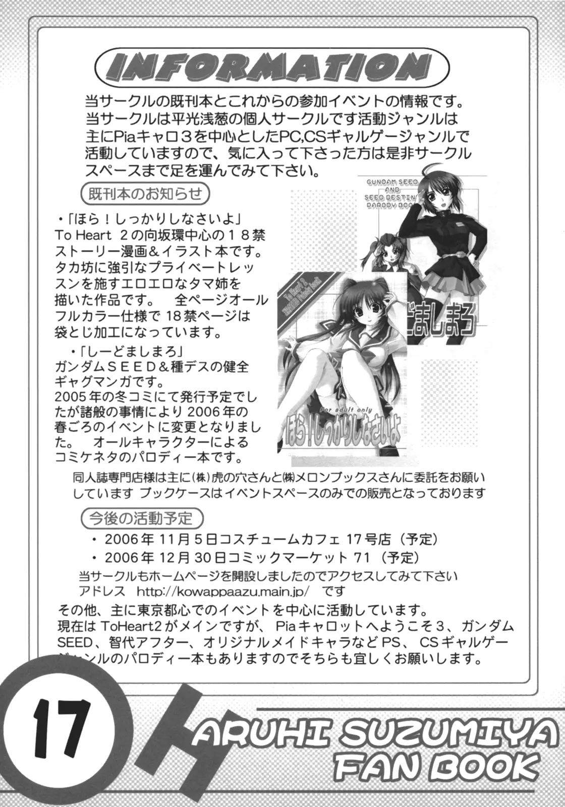 Page 17