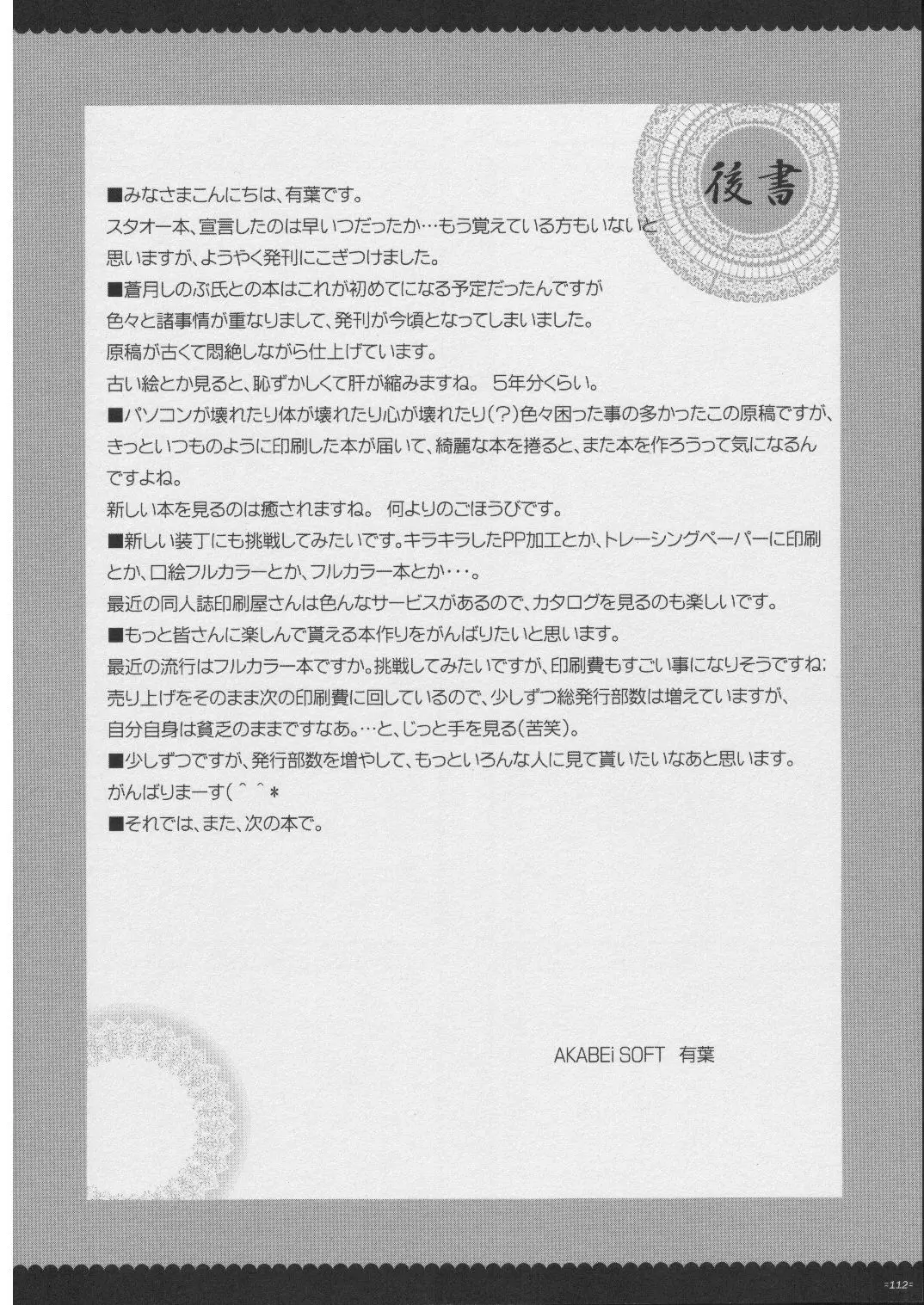 Page 111