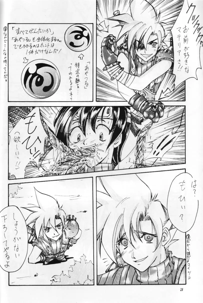Page 27
