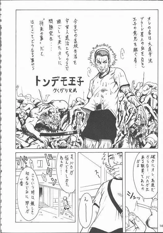 Page 13