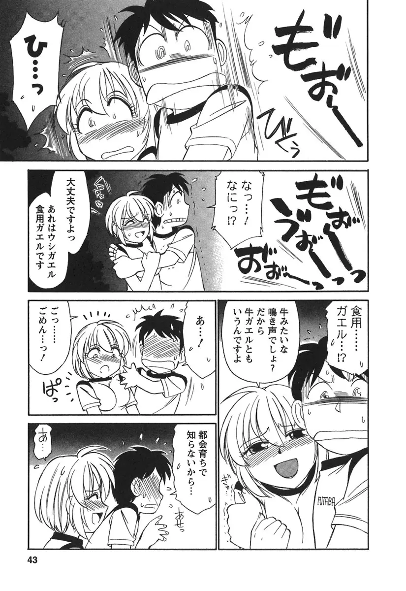 Page 45