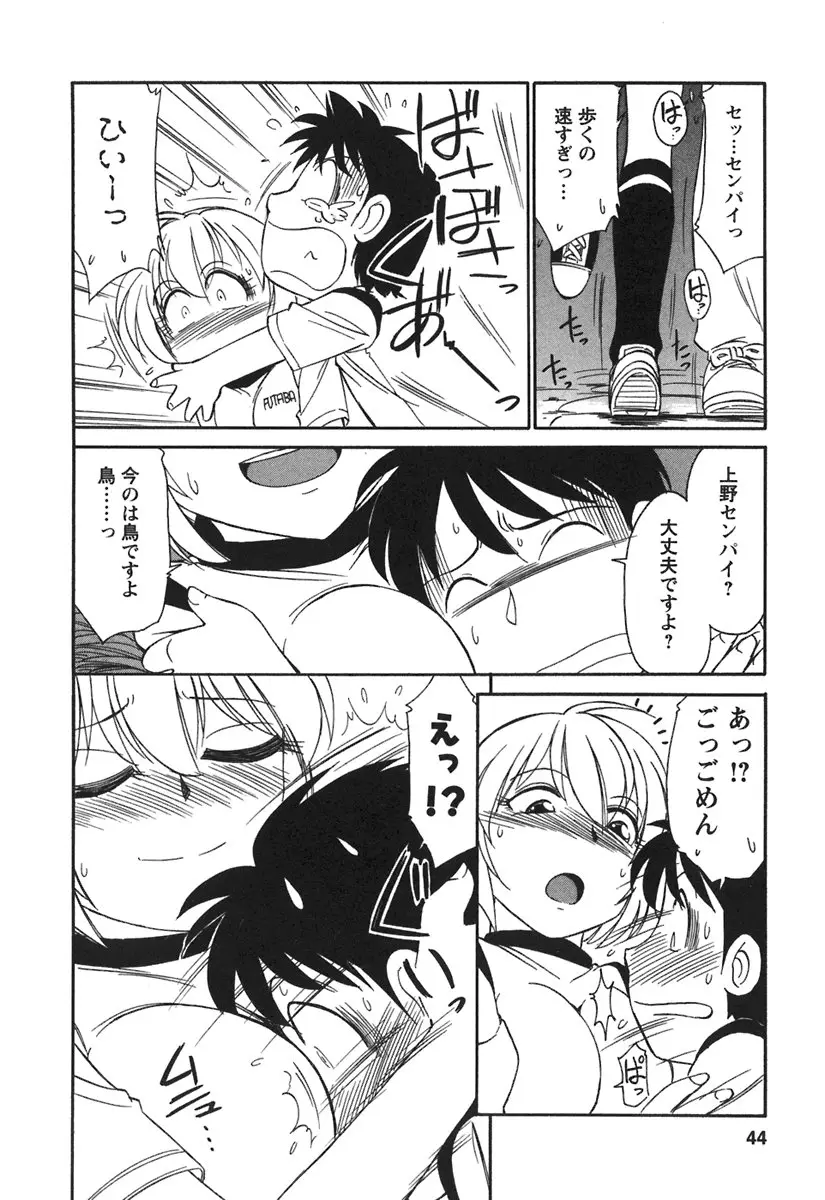 Page 46