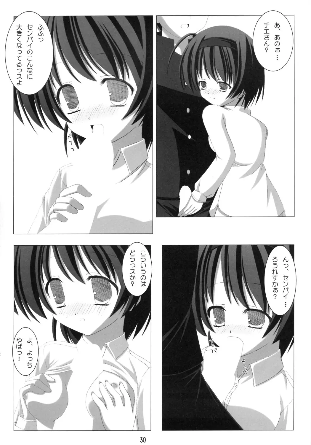 Page 29