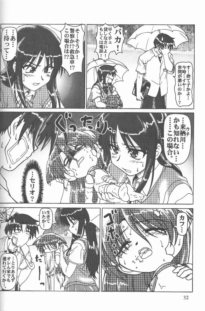 Page 31