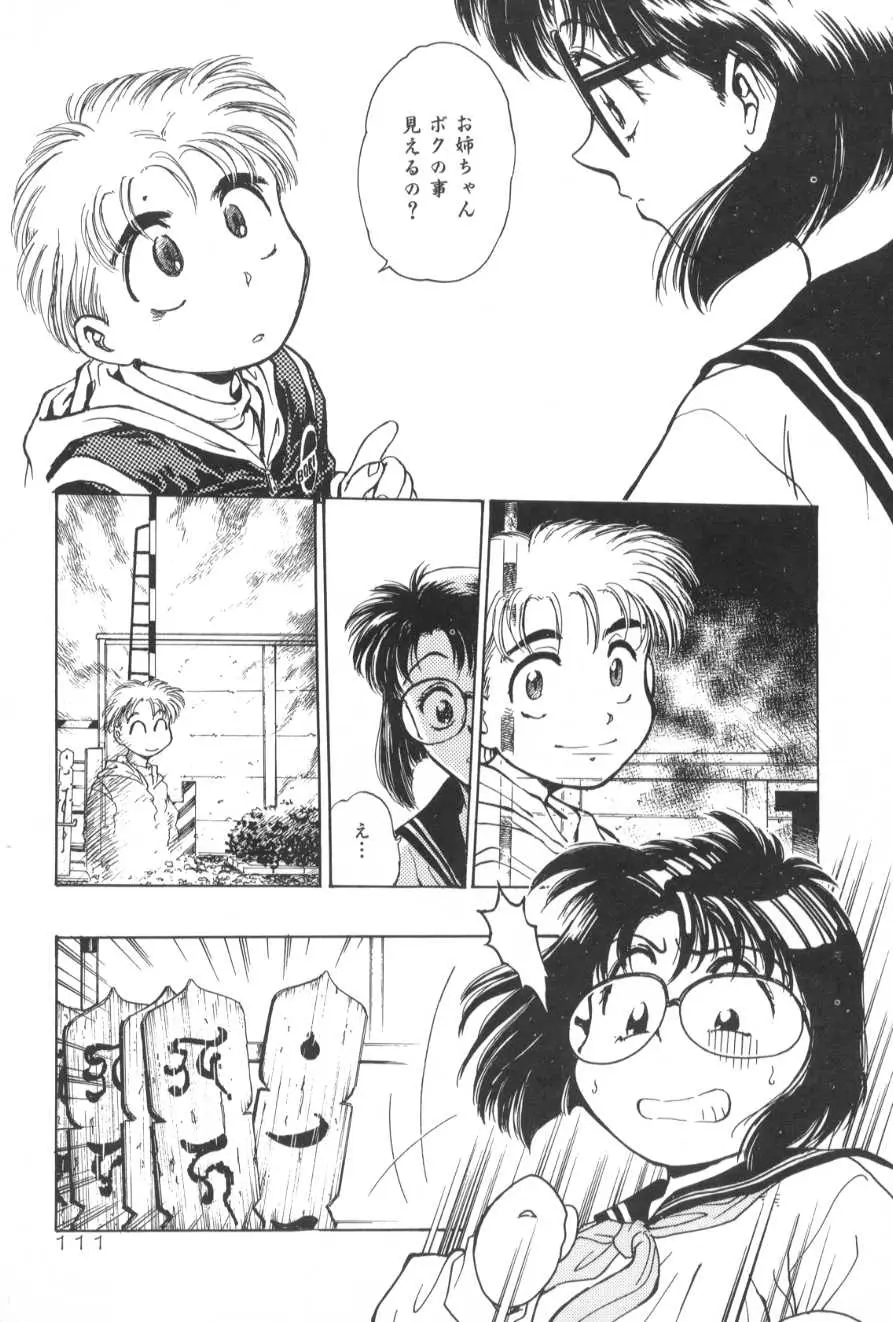Page 111