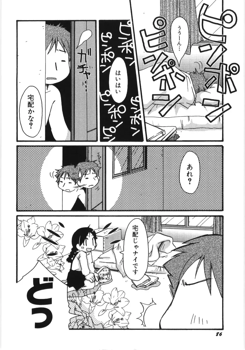 Page 87