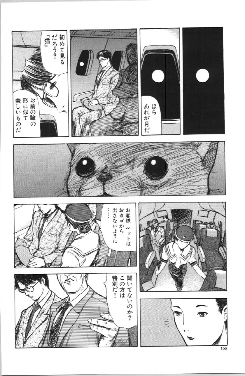 Page 100