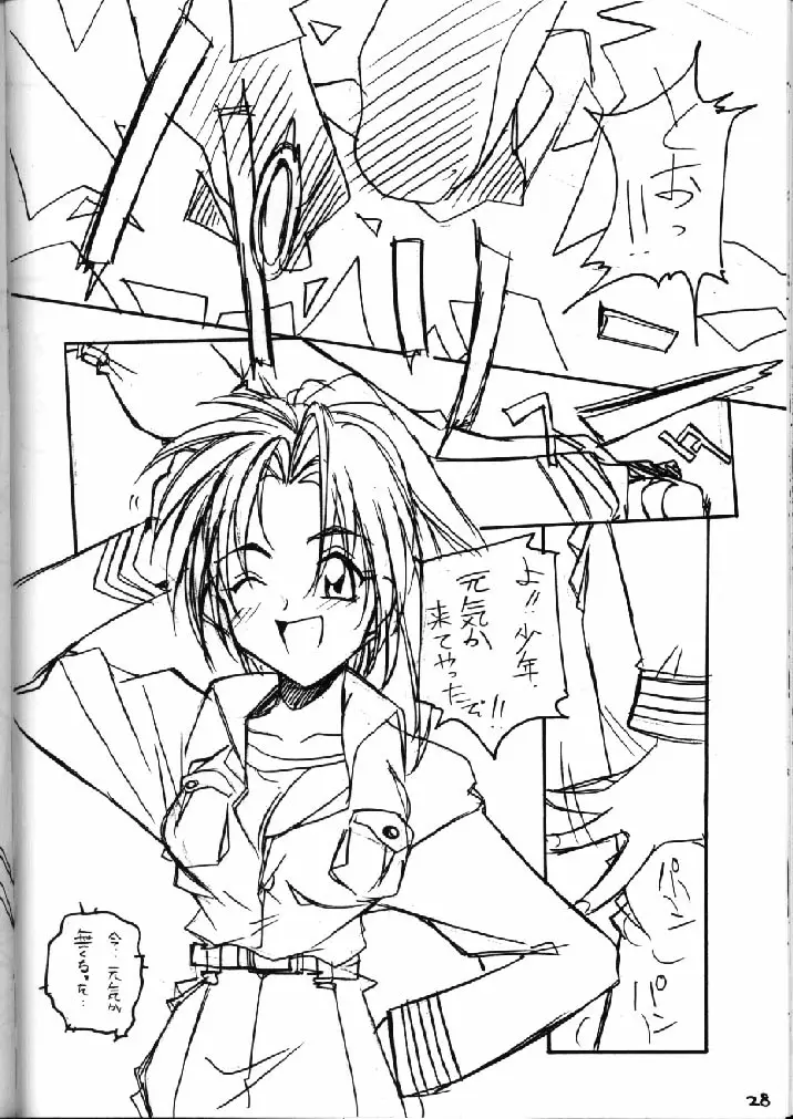 Page 27