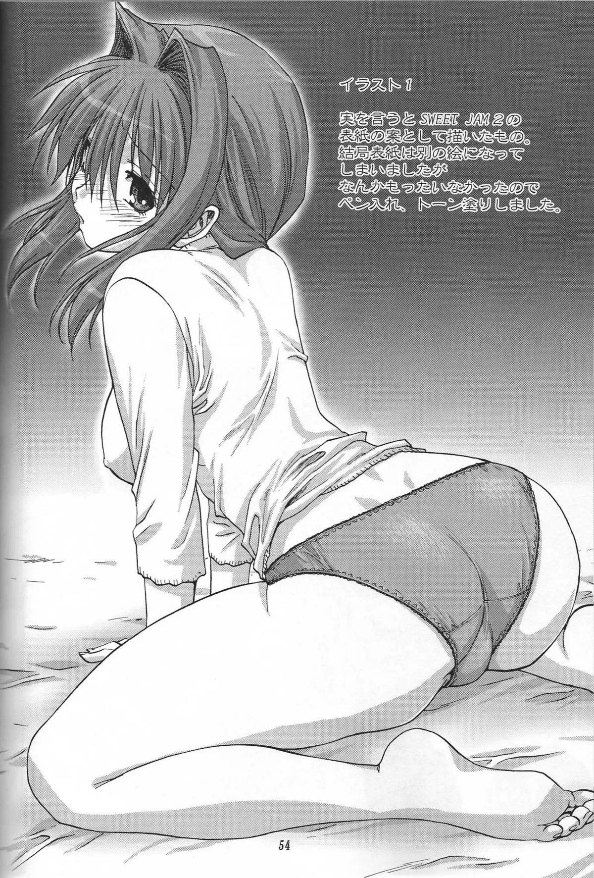 Page 53