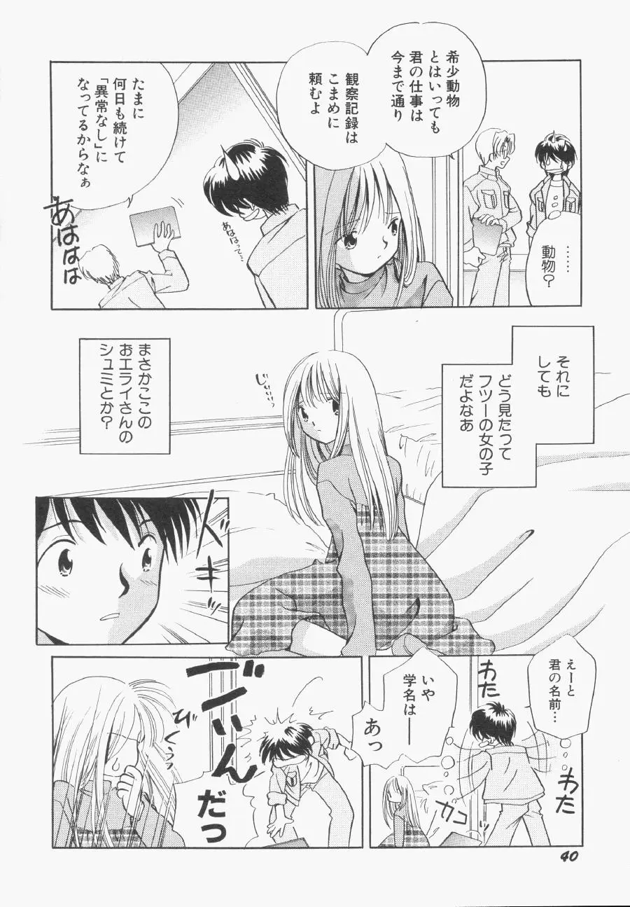 Page 41