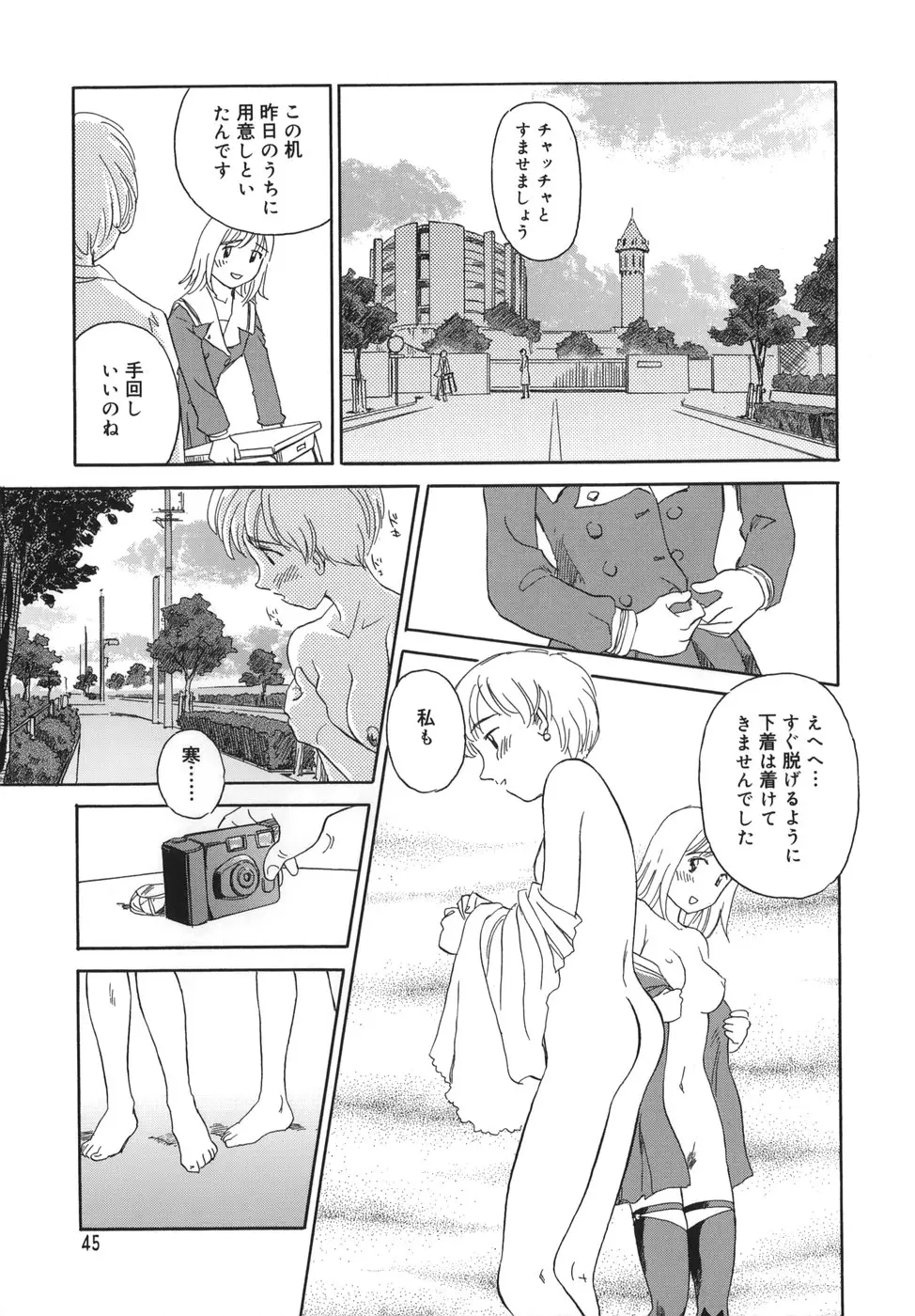 Page 45