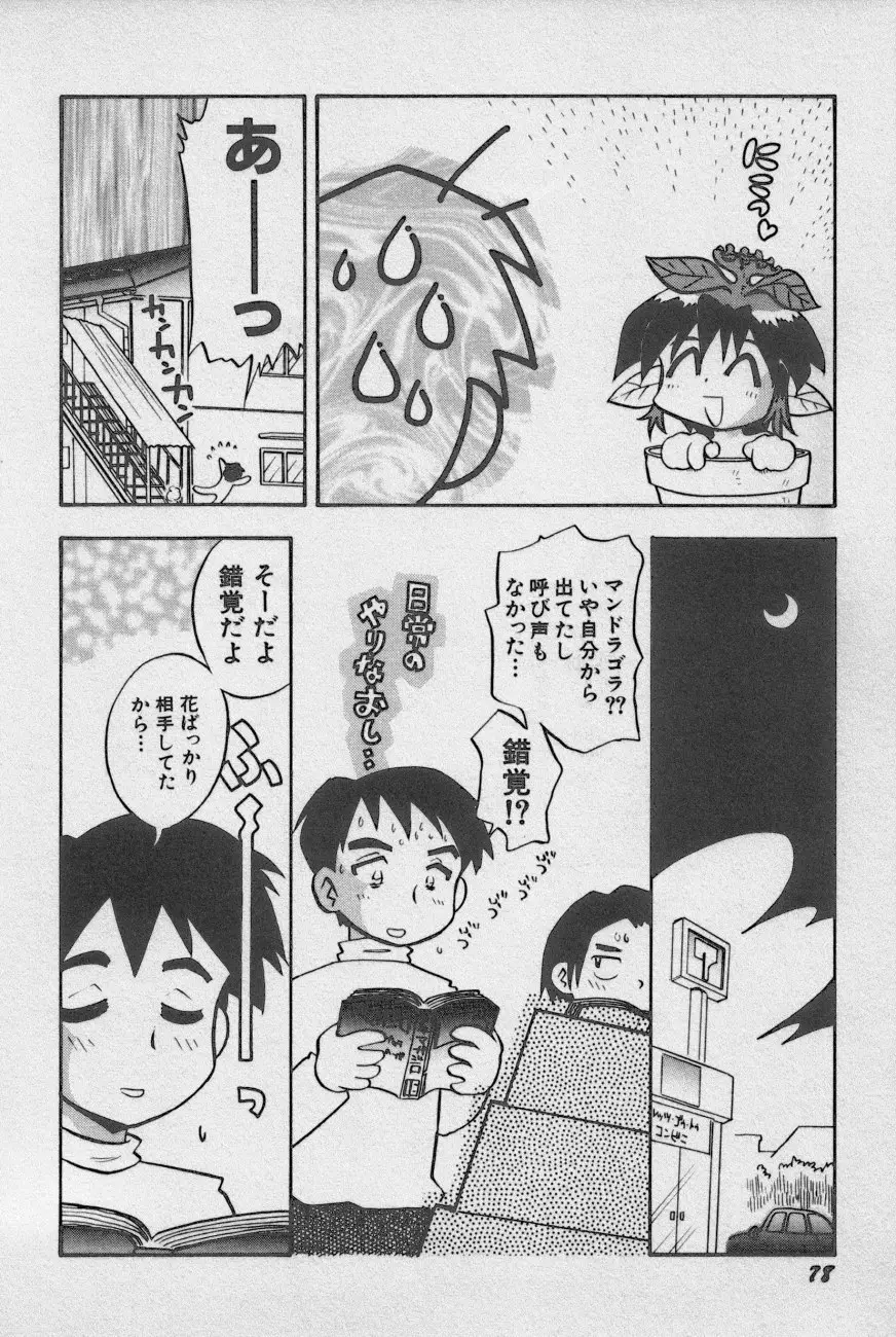 Page 81