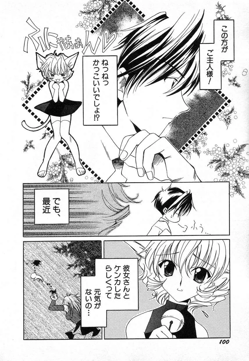 Page 104