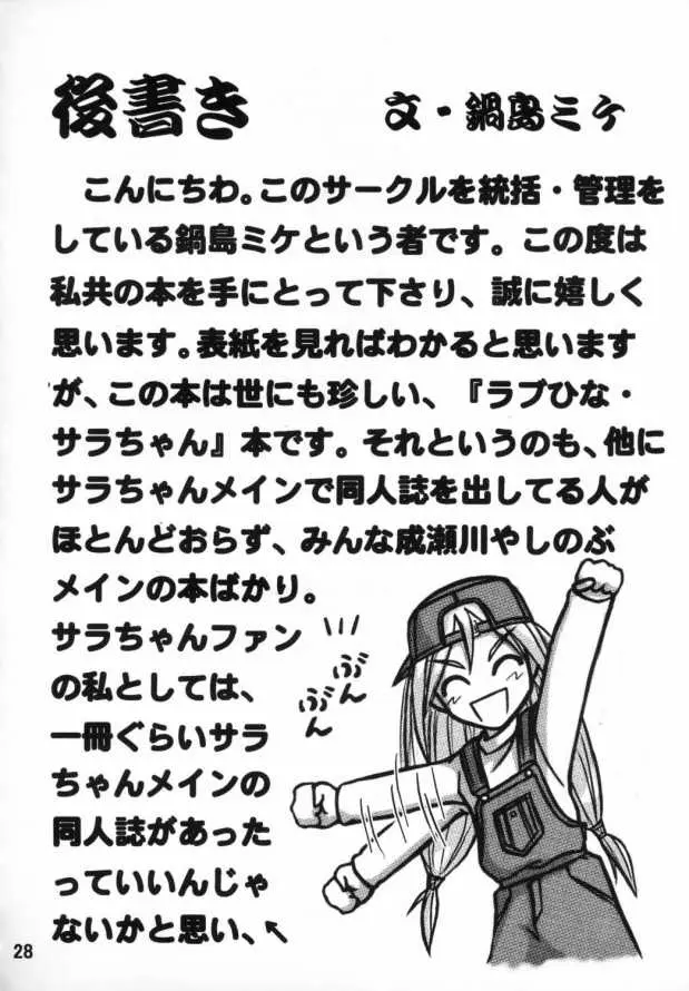 Page 27