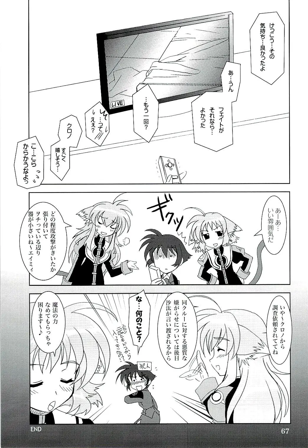 Page 66