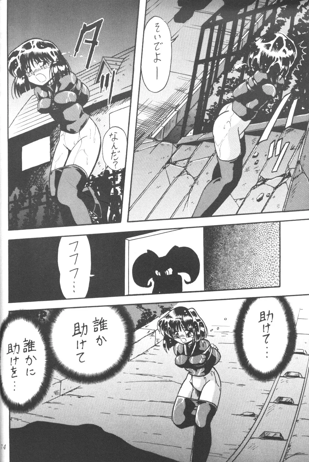 Page 73