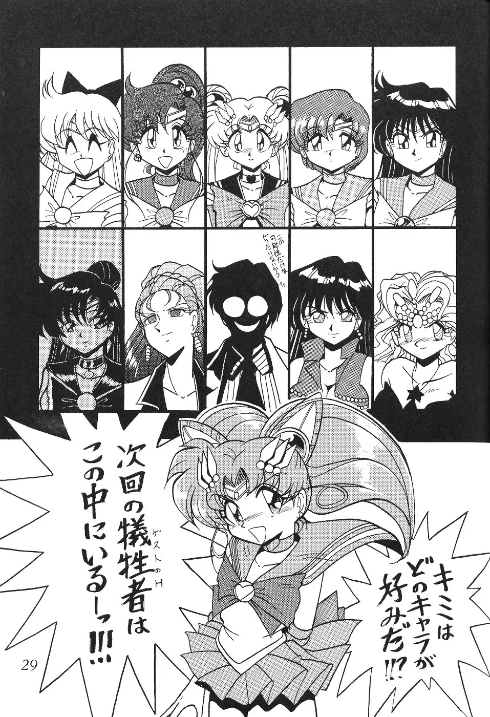 Page 29