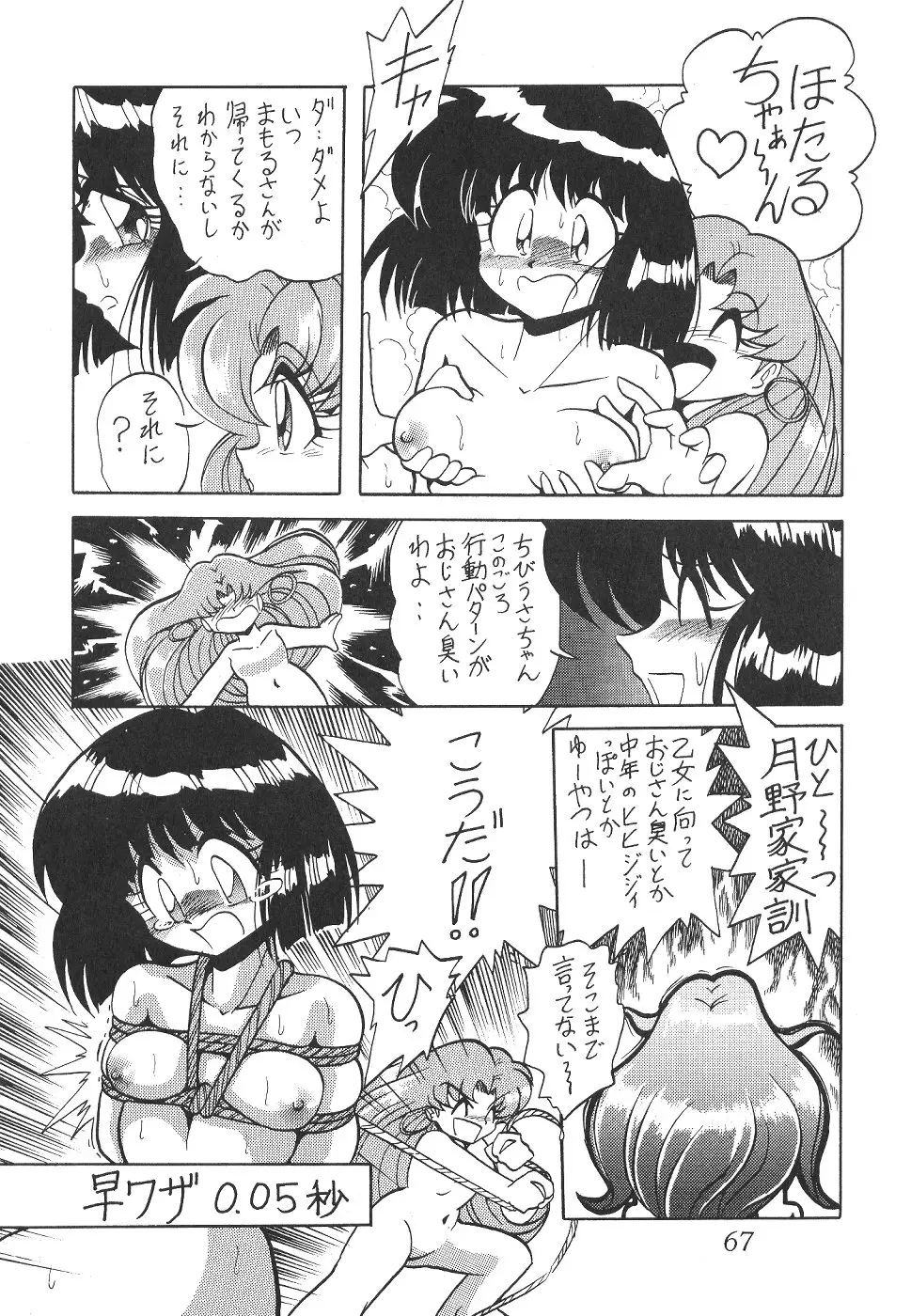 Page 67