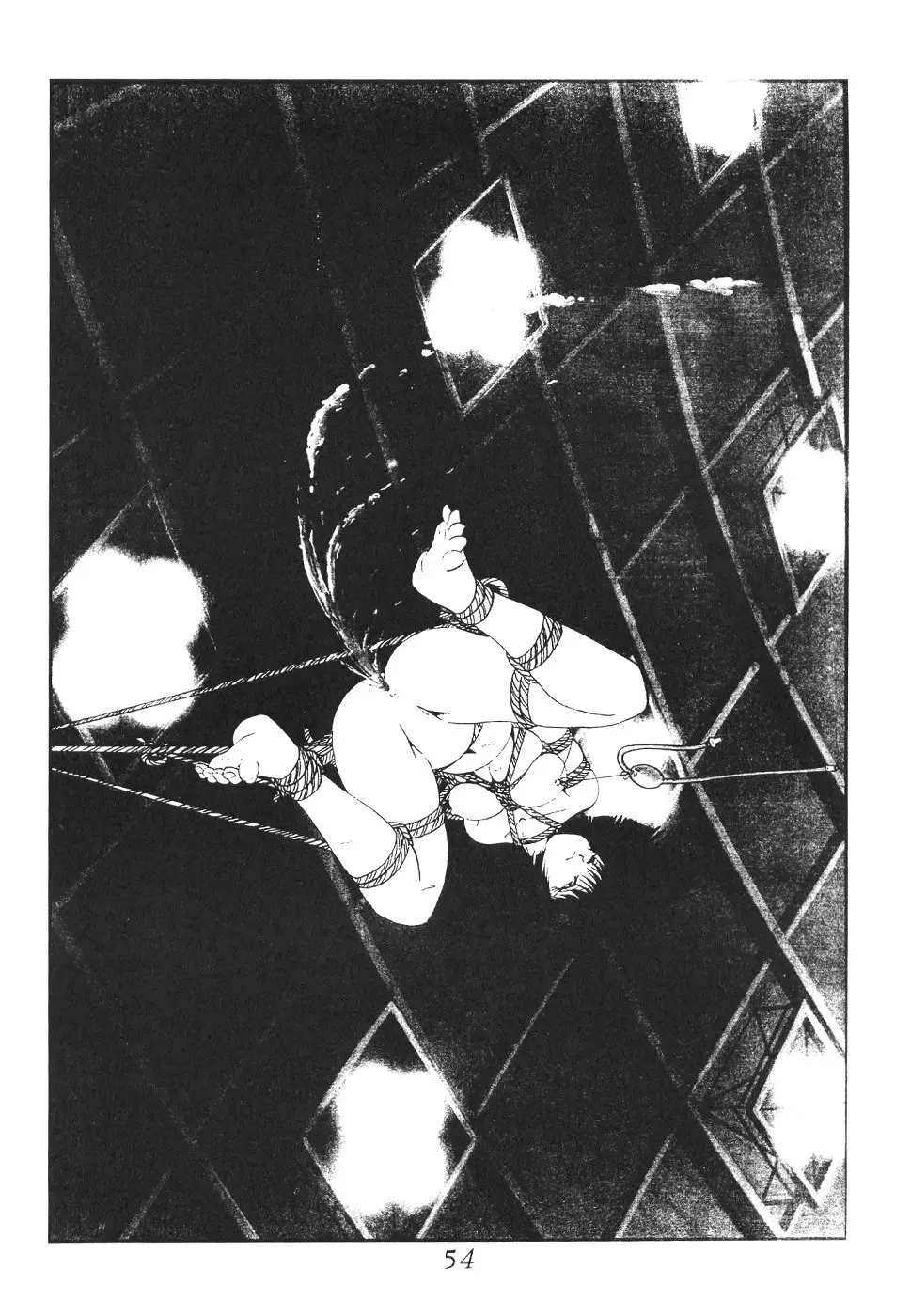 Page 54