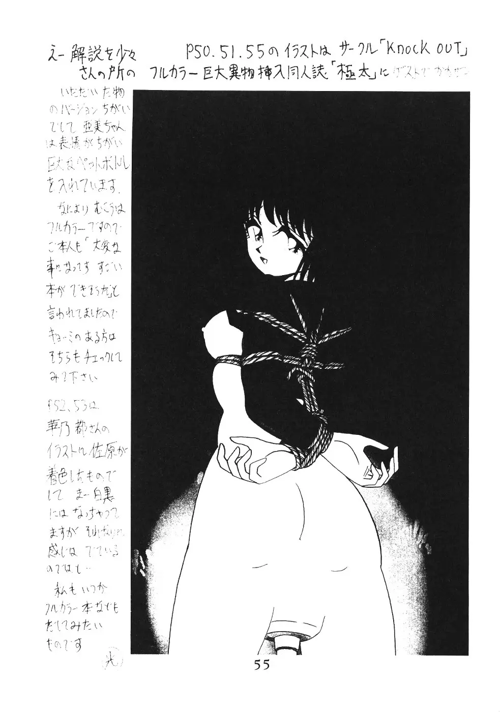 Page 55
