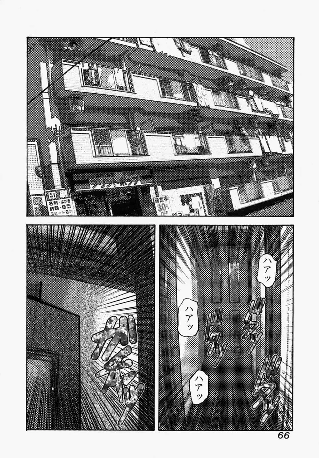 Page 66