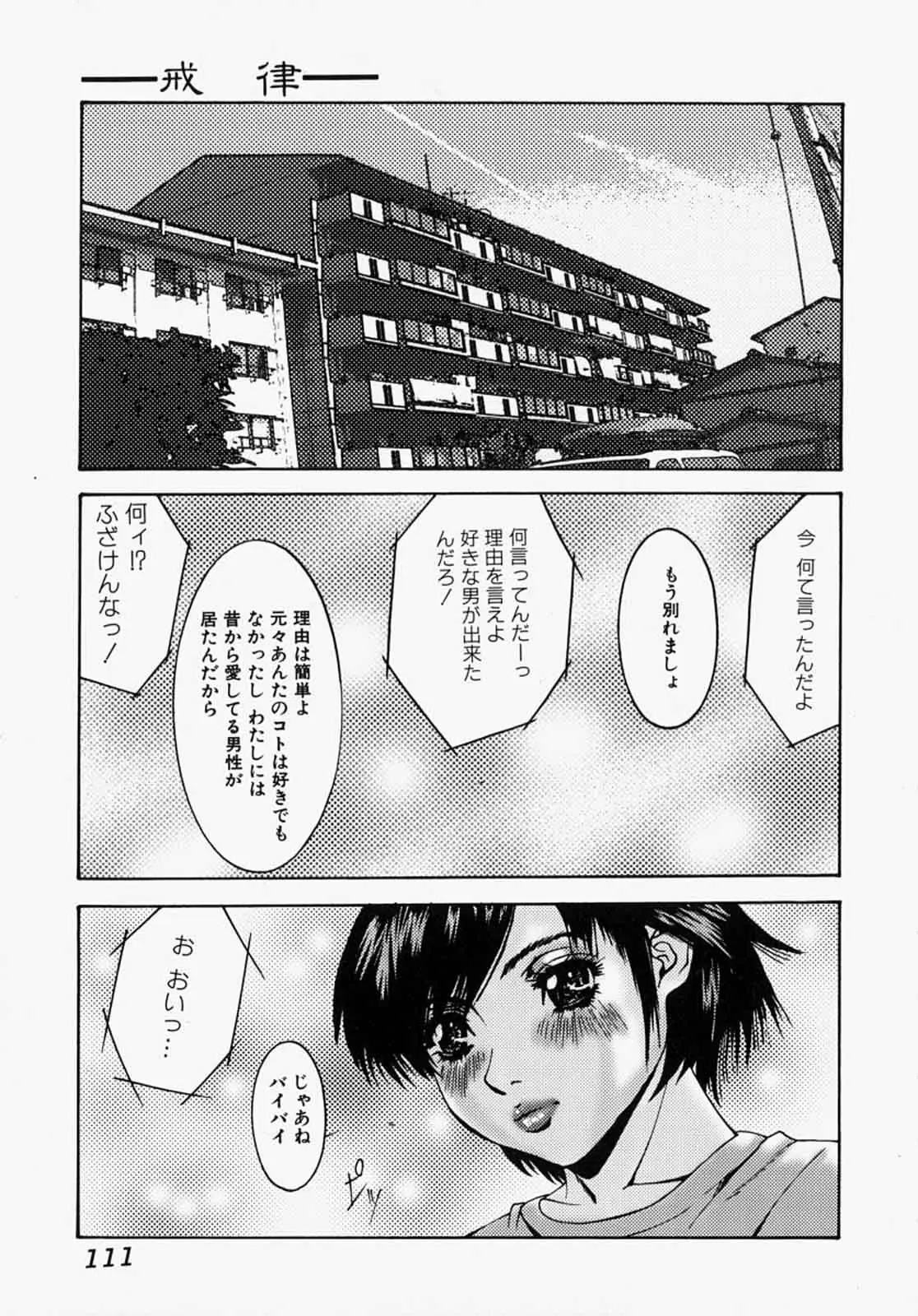 Page 111