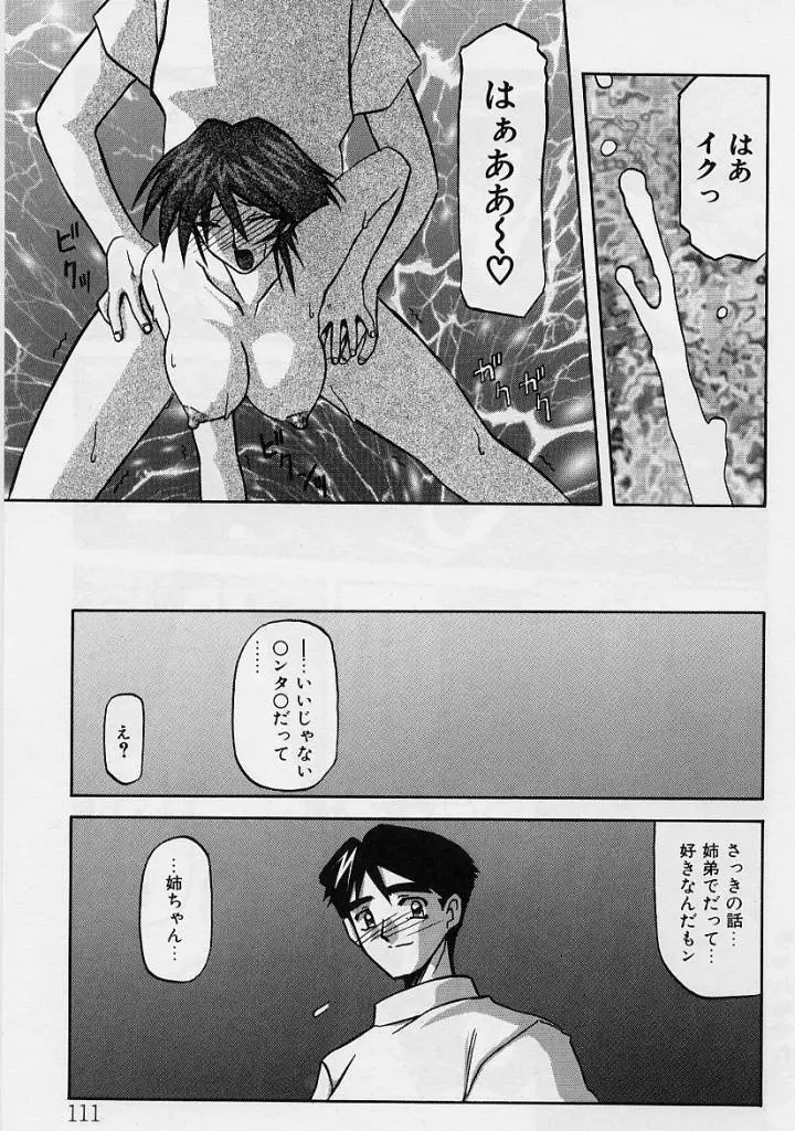 Page 112