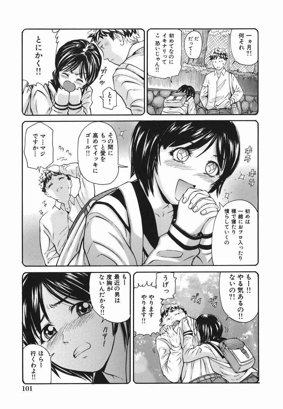 Page 101