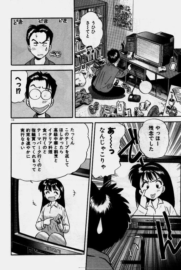 Page 111
