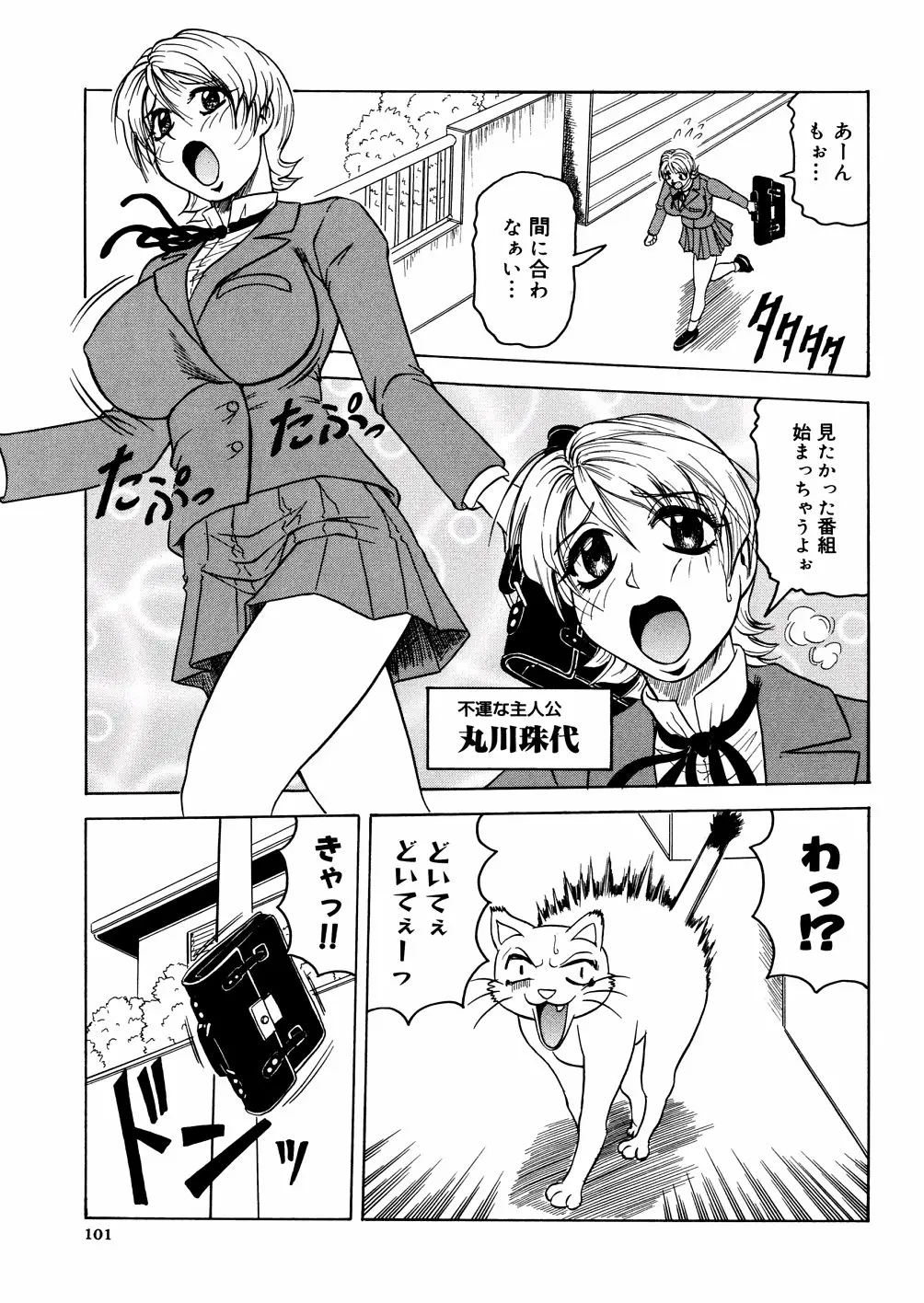 Page 104