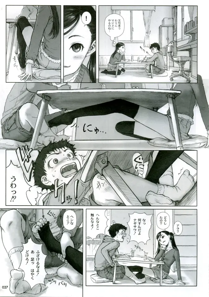 Page 27