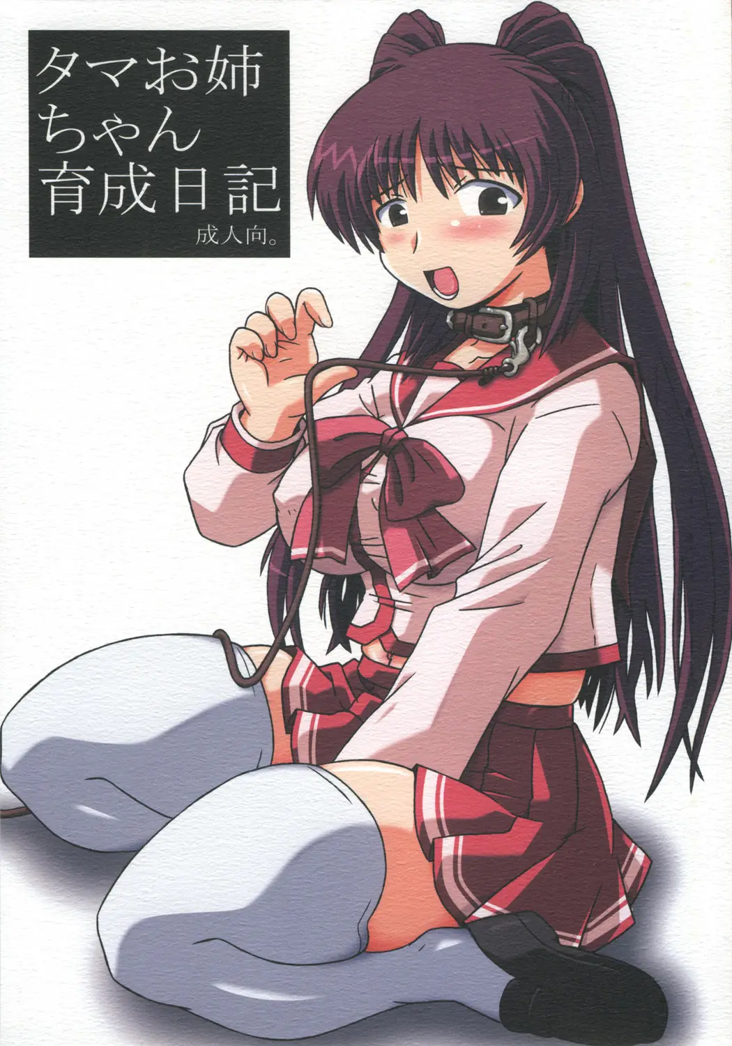 (C68) [Salvage Kouboh (Houou-tan)] Tama Onee-chan Ikusei Nikki (ToHeart2)