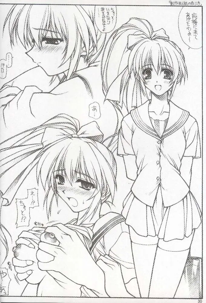 Page 29