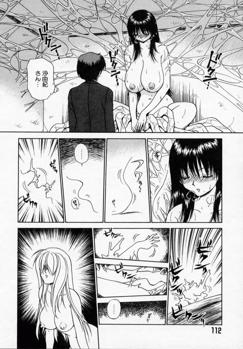 Page 112
