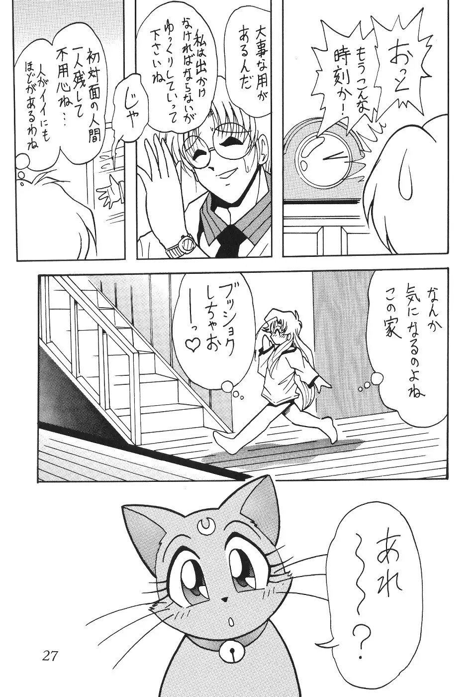 Page 27