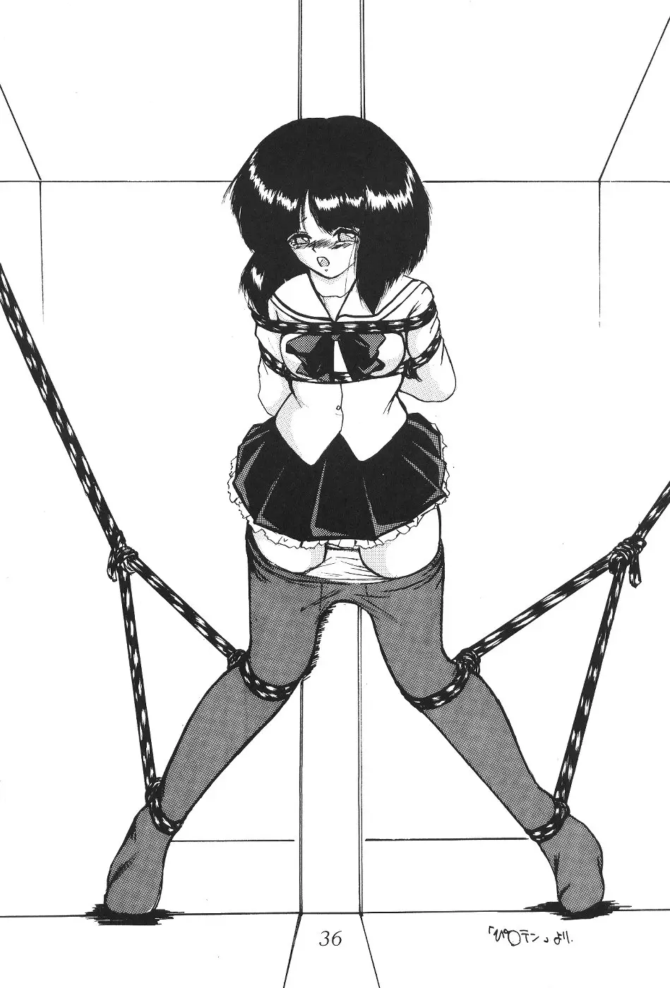 Page 36