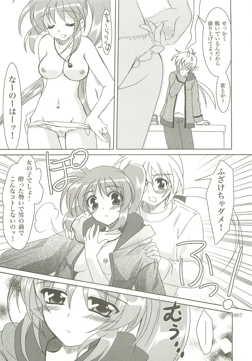 Page 66