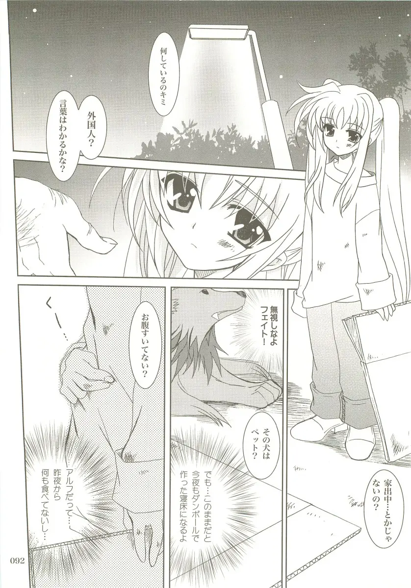 Page 91