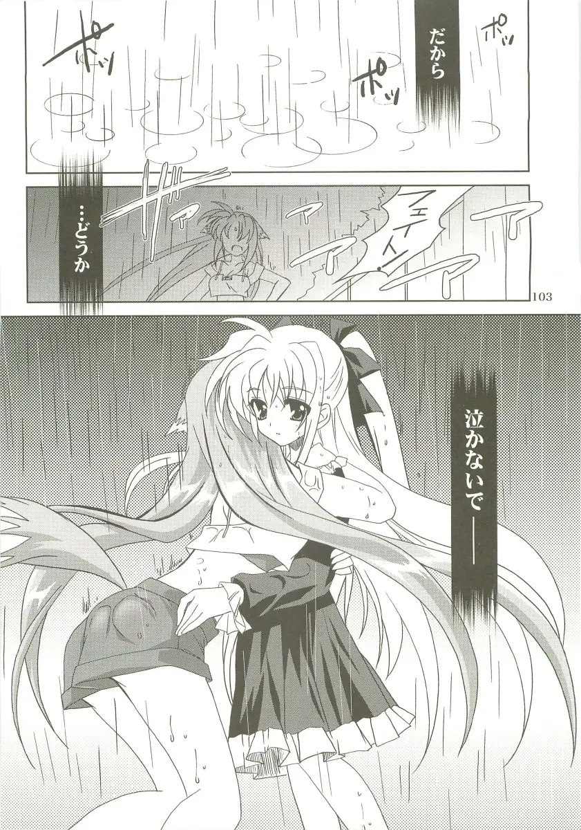 Page 102