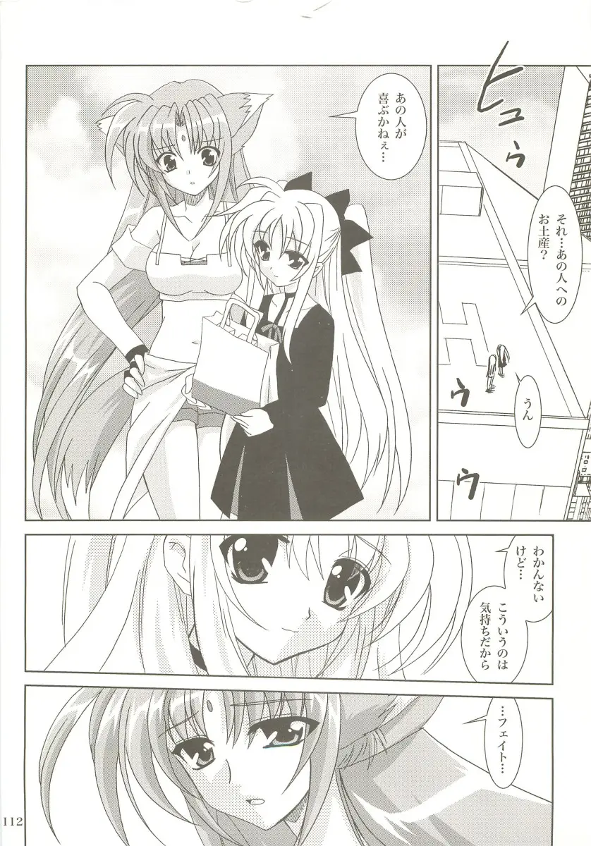 Page 111