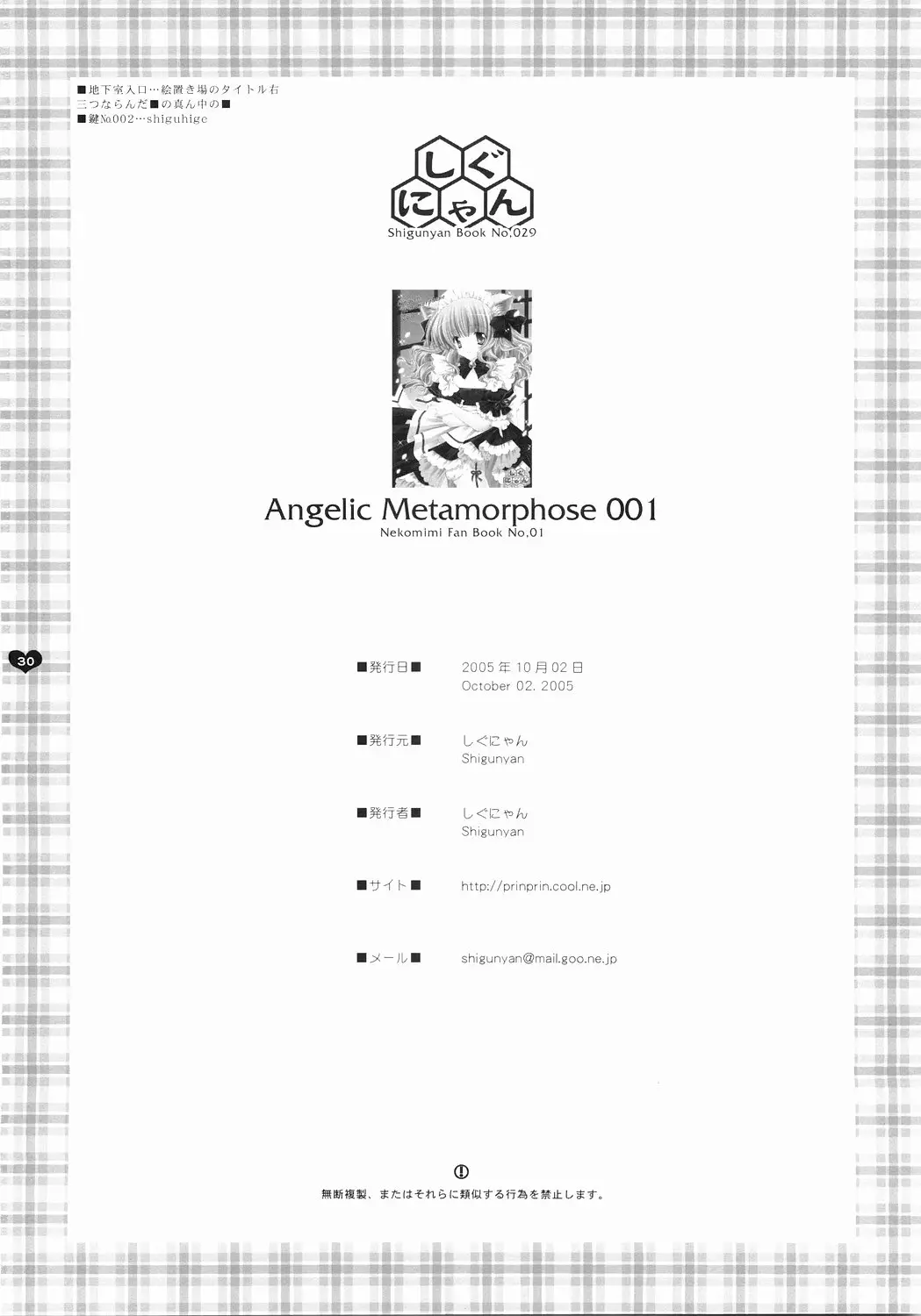 Page 29